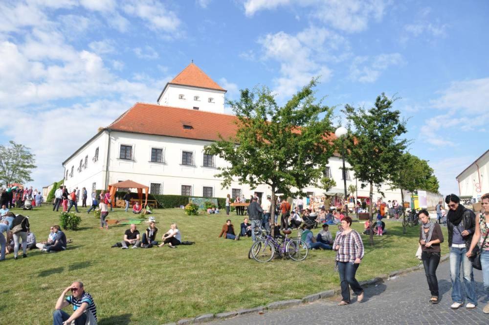Hotel Chateau Zamek Cejkovice Zewnętrze zdjęcie